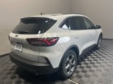 New 2025 Ford Escape ST-Line image 5