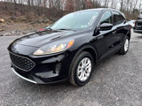 Used 2020 Ford Escape SE image 3