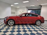 New 2025 Cadillac CT5 Premium Luxury image 4