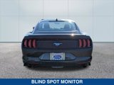 Certified 2022 Ford Mustang Premium image 4
