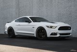 Used 2016 Ford Mustang GT Premium w/ Equipment Group 401A image 4