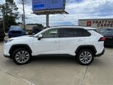 Used 2019 Toyota RAV4 XLE Premium image 5