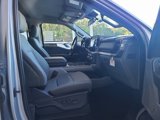 New 2024 Ford F150 XLT w/ Equipment Group 302A MID image 5
