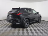 Used 2023 Lexus NX 350 AWD w/ Premium Package image 5