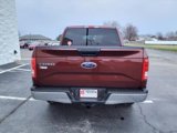 Used 2017 Ford F150 XLT image 4