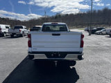 Used 2023 Chevrolet Silverado 1500 W/T w/ WT Fleet Convenience Package image 5
