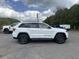 Used 2019 Jeep Grand Cherokee Trailhawk w/ Trailhawk Luxury Group image 4