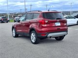 Used 2019 Ford Escape SEL image 4