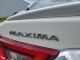 Used 2017 Nissan Maxima Platinum w/ Medallion Package image 5