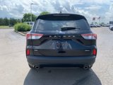 Used 2022 Ford Escape SE image 4