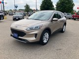 Certified 2020 Ford Escape SE image 4