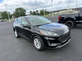 Used 2022 Ford Escape SE w/ Convenience Package image 3