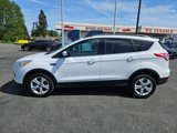 Used 2014 Ford Escape SE w/ Equipment Group 201A image 2