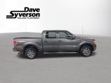 Used 2013 Ford F150 XLT w/ Luxury Equipment Group image 4