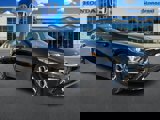 View Video