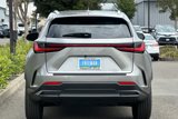 New 2025 Lexus NX 250 AWD w/ Premium Package image 5
