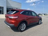Used 2020 Ford Escape SE image 6