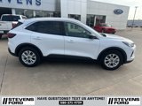 Used 2024 Ford Escape Active w/ Tech Pack #1 image 3