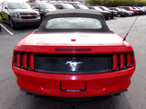 Used 2020 Ford Mustang Premium image 4