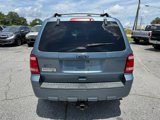 Used 2011 Ford Escape XLT w/ 203A Rapid Spec Order Code image 6