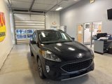 Certified 2020 Ford Escape SEL image 5