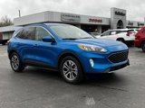 Used 2020 Ford Escape SEL image 2