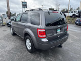 Used 2010 Ford Escape XLT image 3