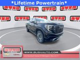 View Video