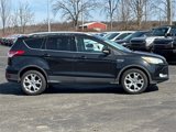Used 2014 Ford Escape Titanium image 2