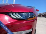 Used 2019 Ford Mustang Premium w/ Equipment Group 201A image 4