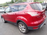 Used 2016 Ford Escape SE w/ Equipment Group 201A image 3
