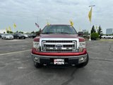 Used 2013 Ford F150 XLT w/ Luxury Equipment Group image 2