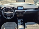 Used 2022 Ford Escape SE image 3