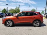 Used 2020 Ford Escape SEL image 5