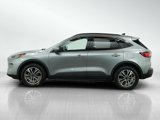 Used 2021 Ford Escape SEL image 2