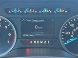 Used 2016 Ford F150 XLT w/ Equipment Group 302A Luxury image 2