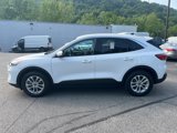 Used 2021 Ford Escape SE image 6