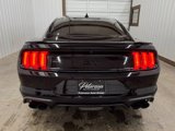 Used 2023 Ford Mustang GT Premium w/ Mustang Nite Pony Package image 5