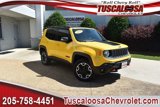 Used 2015 Jeep Renegade Trailhawk image 1