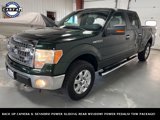 Used 2013 Ford F150 XLT w/ Luxury Equipment Group image 3
