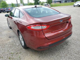 Used 2014 Ford Fusion SE image 4