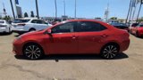 Used 2019 Toyota Corolla L image 5