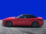 Certified 2022 Ford Mustang Premium image 6