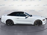 Used 2021 Ford Mustang Premium image 3