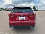 Used 2019 Lexus NX 300h AWD image 4