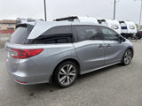 Used 2019 Honda Odyssey Elite image 4
