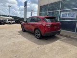 Used 2022 Ford Escape SE w/ SE Sport Appearance Package image 5
