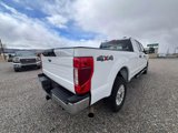 Used 2022 Ford F350 XLT image 6