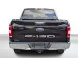 Used 2019 Ford F150 XLT w/ Equipment Group 302A Luxury image 4