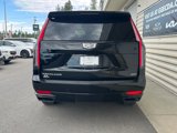 Certified 2024 Cadillac Escalade Sport image 5